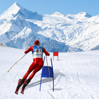 Play Slalom Ski Simulator now!